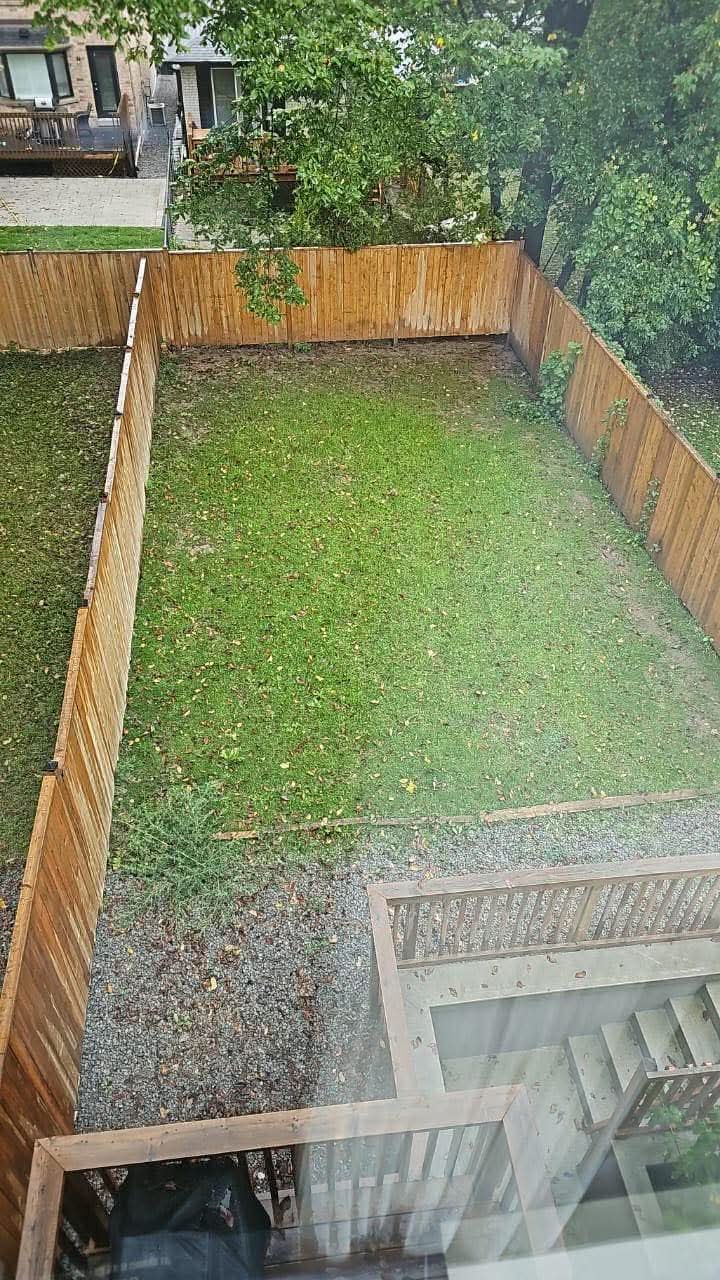 New sod — rear yard
