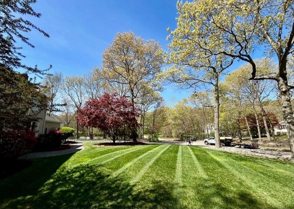 Front lawn — spring cut