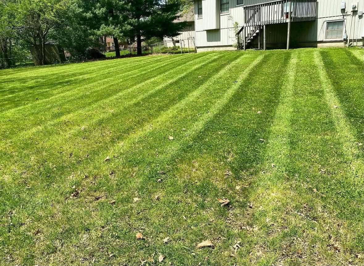 Striped cut — rear lawn