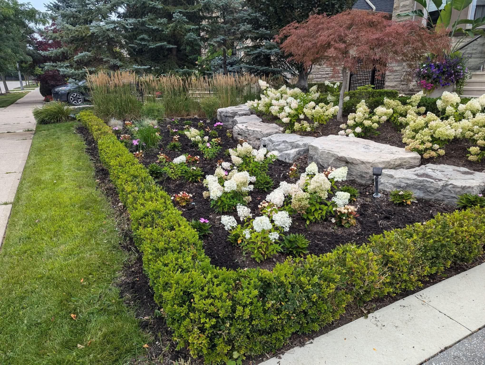 Front garden beds and mulch