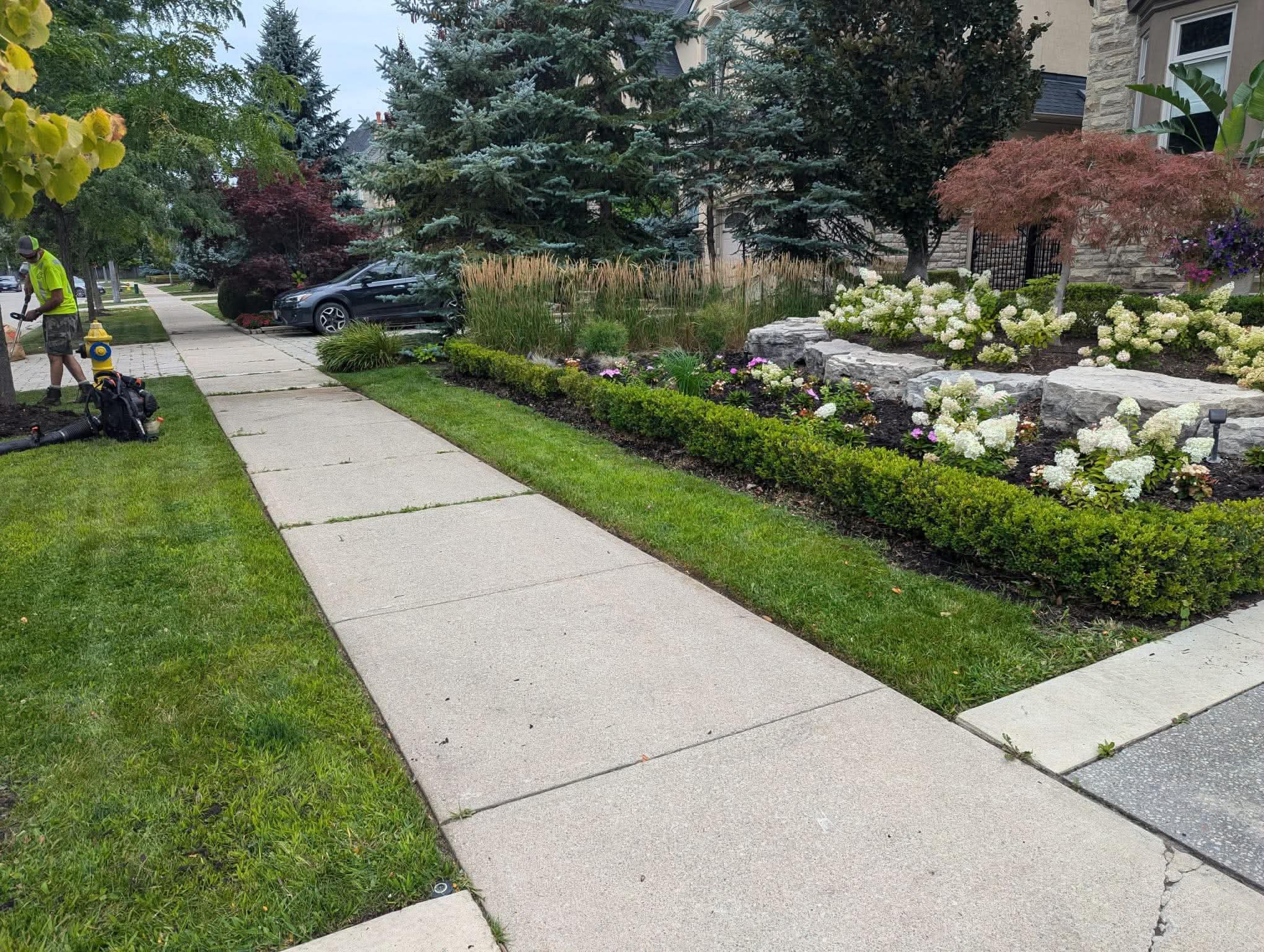 Walkway, beds and hedging
